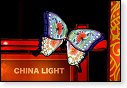 china light licht festival lichtshow show festiviteit glow evenement event chinees chinese verlichting draak dragon lichtfestival zoo